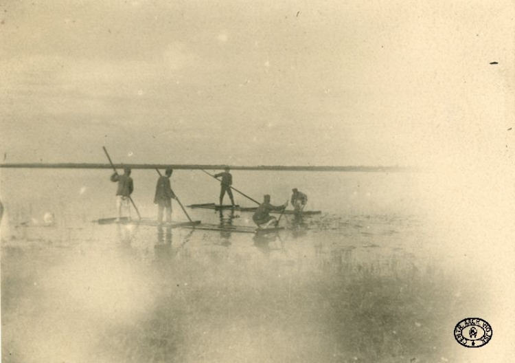 Legioniści płyną na tratwach. Pozycje nad Styrem, Wołyń. Wiosna, 1916 r. Źródło: CAW