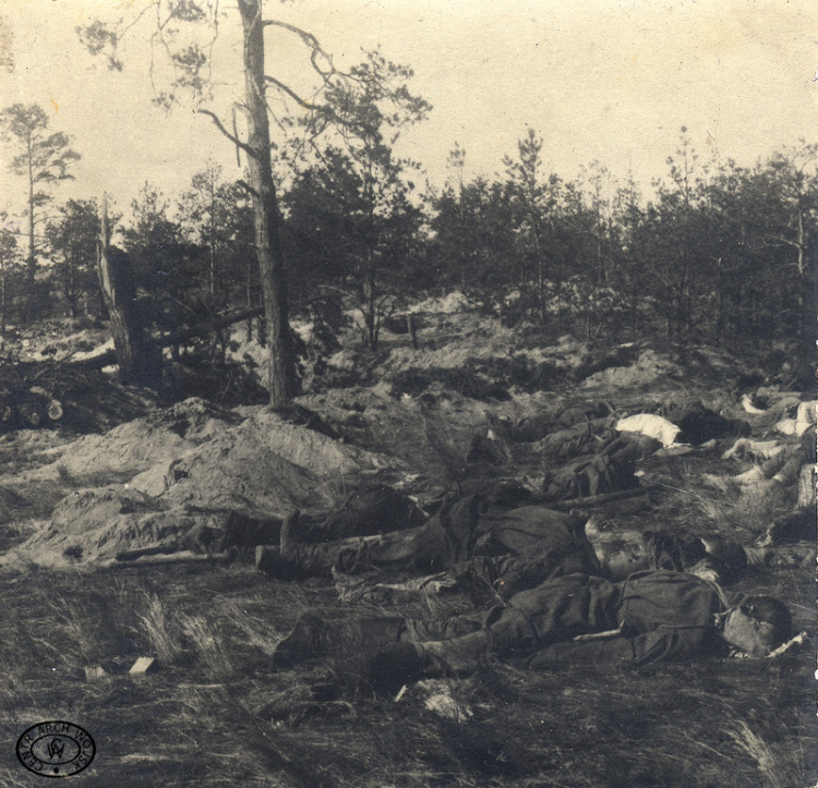 Fragment pola bitwy pod Kolnem, 08.1920 r.