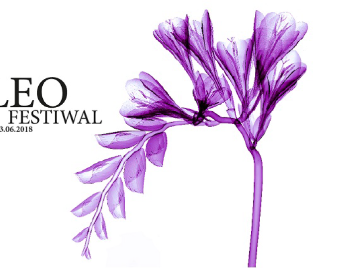 10. Leo Festiwal